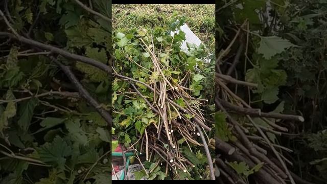 А мы продолжаем строить, любить и наслаждаться жизнью🥰 смотреть онлайн