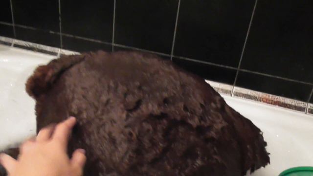 Рома и медведь! Купаем огромного мишку с пеной! смотреть онлайн