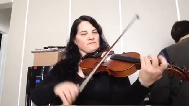 Day 68 - Three Men On A White Horse - Patti Kusturok's 365 Days Of Fiddle Tunes