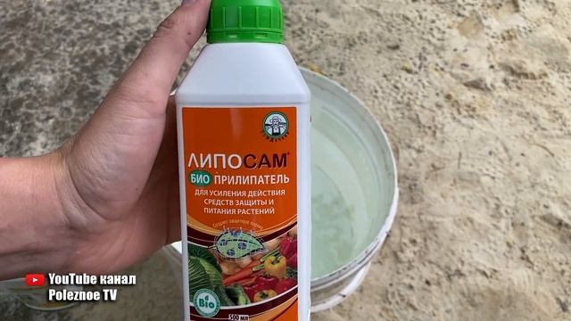 Монилиоз на вишне, яблоне, сливе и абрикосе?! Рабочее средство для лечения и профилактики монилиоза