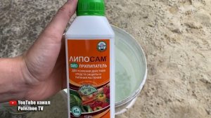 Монилиоз на вишне, яблоне, сливе и абрикосе?! Рабочее средство для лечения и профилактики монилиоза