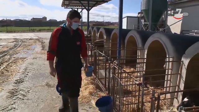 Surcos (496).- Mujeres emprendedoras, programa 'Puebla' y el cultivo de la Camelina смотреть онлайн