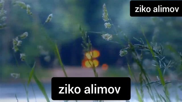 Любовь в начале ласкова всегда, В воспоминаньях ласкова всегда, А любишь боль! И с жадностью друг.. смотреть онлайн