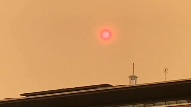 PINK SUN OVER SYDNEY! VLOG #53 смотреть онлайн