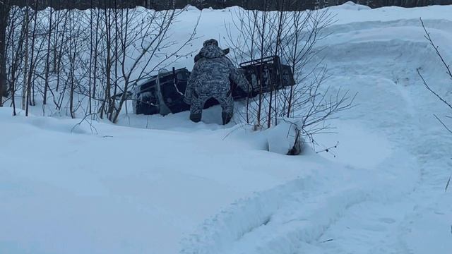 VLOG: Снегоходы/Лось/Чуть не разбился смотреть онлайн