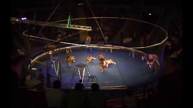 Золотой цирк Африки 2011 - представление в Запорожском цирке смотреть онлайн