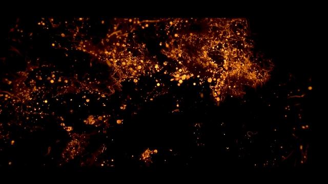 For the Future | Annual Meeting Davos 2022 смотреть онлайн