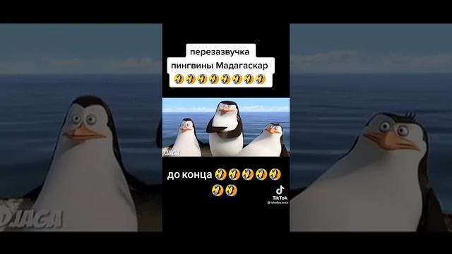 #мадагаскар#приколы2022#лучшие приколы#пингвины Мадагаскара.#