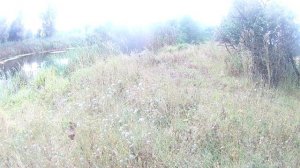 микро бомбарда,мормышинг,ловля на живца