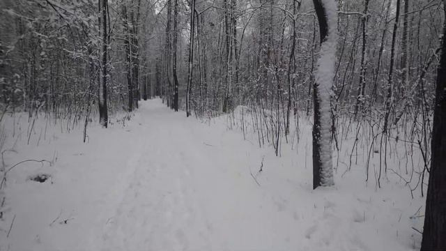 Арзамас, зима, парк смотреть онлайн