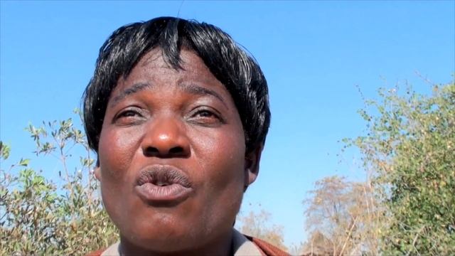 Restoring the land with the Savory Institute смотреть онлайн