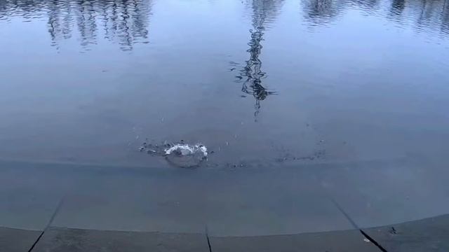 Если на Джиг-риг не правильно одет силикон, что будет 29.11.2020 смотреть онлайн