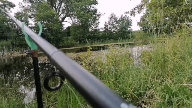 ЛОВЛЯ КАРАСЯ ЛЕТОМ 2023 (ЭТО ПЕРВОЕ ВИДЕО) смотреть онлайн