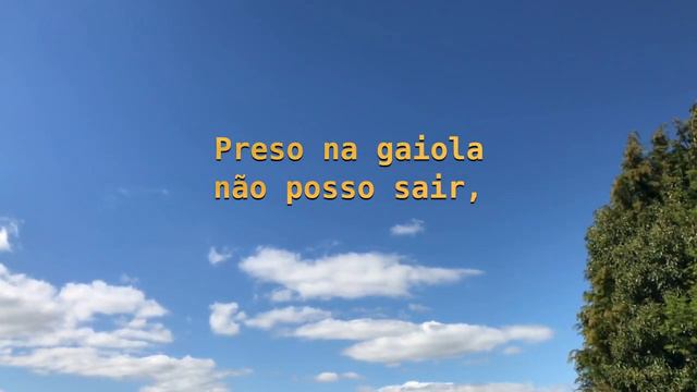 Poesia Cristã: Um Pássaro Na Gaiola - Madame Guyon