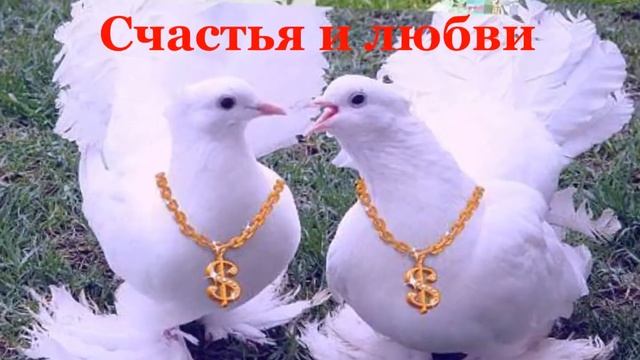 С днем рождения, Светлана! смотреть онлайн