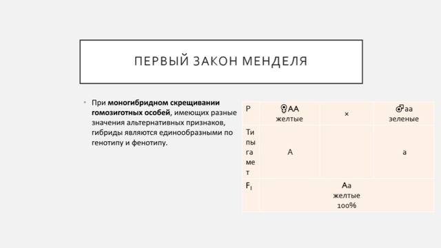 Алиева Р.К., 9 класс, "Генетические основы построения генеалогического древа" смотреть онлайн