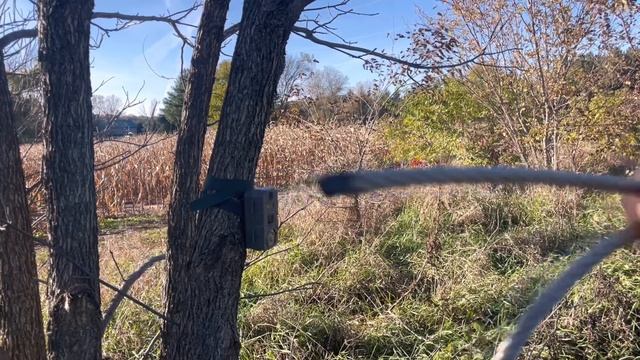 Python Cable Lock DIY $3- Make Your Own Trail Camera Locks смотреть онлайн