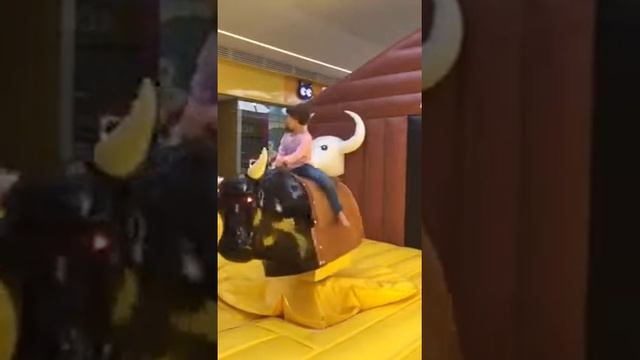 Дикий бык смотреть онлайн