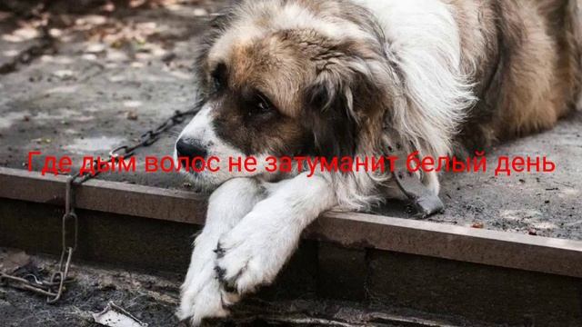 караоке " там нет меня" смотреть онлайн