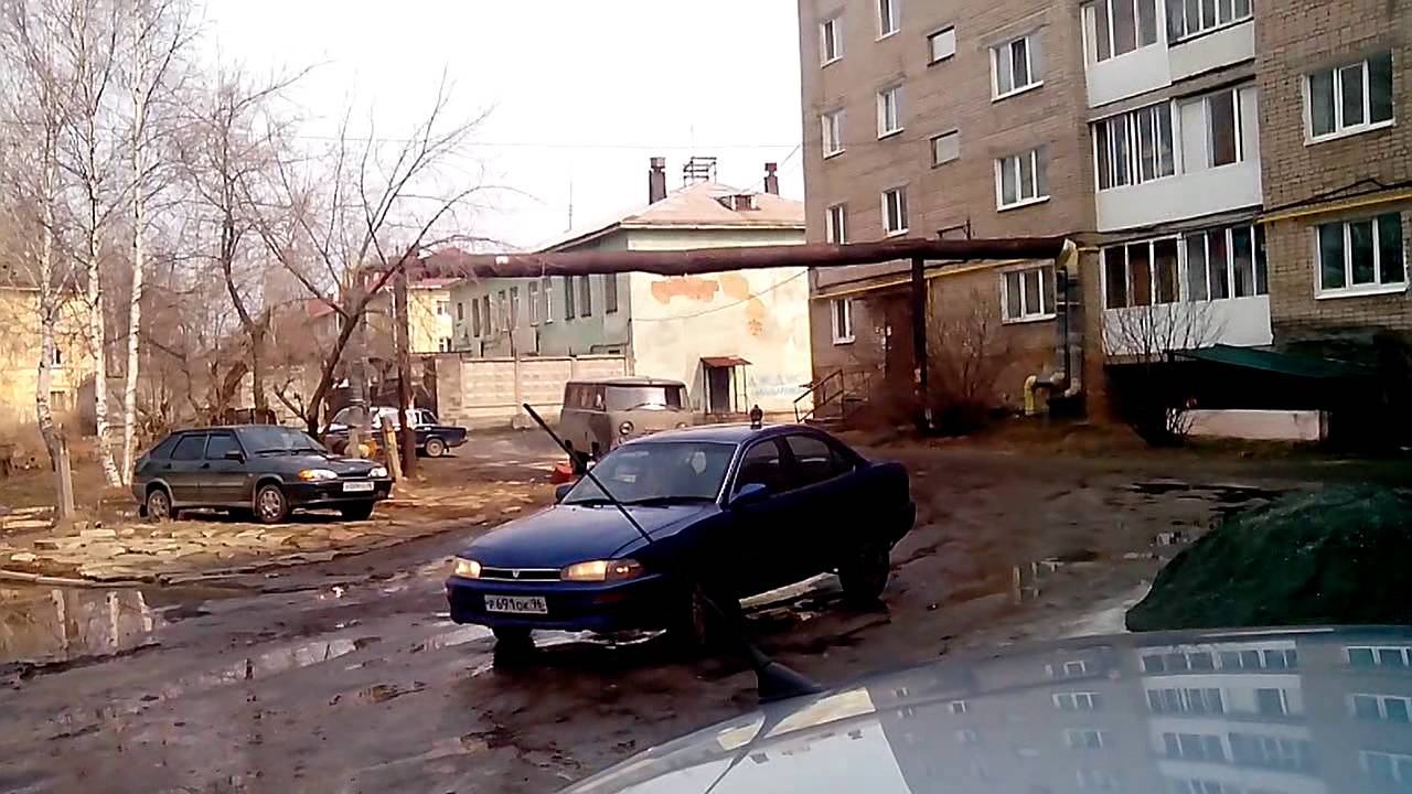 Голубь верхом на автомобиле))) смотреть онлайн