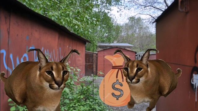 Шлёпа напал на маму 2 часть смотреть онлайн