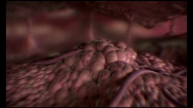 Алкоголь и кровь