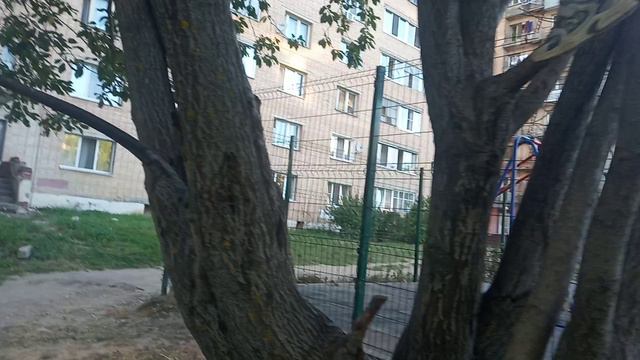 VID_20240915_175504.mp4 смотреть онлайн