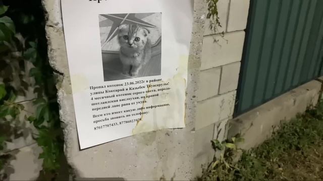 vlog/мои будни и один выходной:) поехали купаться;позвали моделью на макияж;свидание… смотреть онлайн
