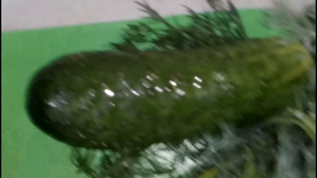 ⚡ САЛАТ ДЛЯ БЫСТРОГО ПОХУДЕНИЯ ОТ 3 ДО 5 КГ В НЕДЕЛЮ !!! ГОТОВИТЬ БЫСТРО !!!⚡ смотреть онлайн