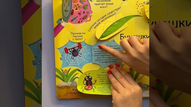 Зачем зебре нужны полоски? | ЖИВОТНЫЕ | Волшебные окошки смотреть онлайн