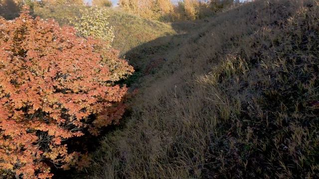 Краски осени. Autumn colors in Russia (4K Video) смотреть онлайн