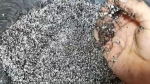 Подготовьте ?ПЕРЛИТ? заранее для посадки рассады!