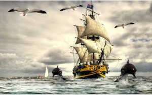 Enigmatic 20. Энигматик 20