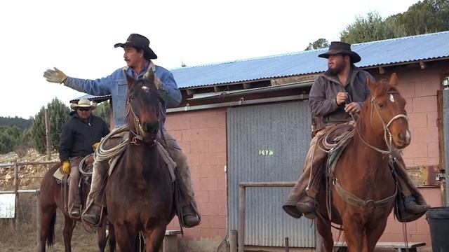 Community - Labatt Who We Are смотреть онлайн