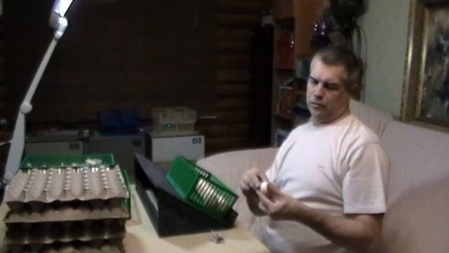 Инкубация куриных яиц РОСС 308 смотреть онлайн