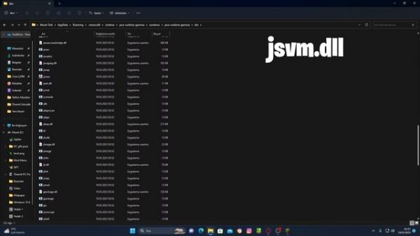 Java-runtime-gamma\bin\server\jvm.dll - Hatası Çözümü