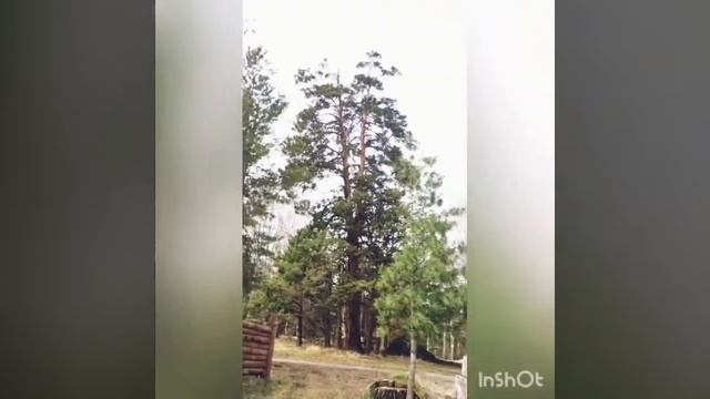 VLOG;База отдыха. Поцарапали гироскутер.Чуть не утопила телефон. смотреть онлайн