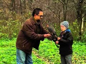 Жизнь замечательных зверей. Выпуск 26 марта