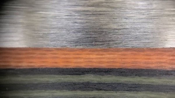 Turn Your CELLPHONE Into a Microscope!!  Apexel 200x Microscope Adapter!!