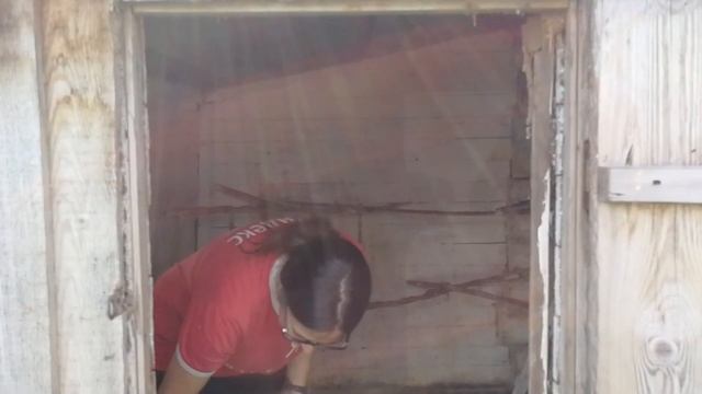 Подготовка курятника к заселению + БОНУС: ловлю рыбу руками. смотреть онлайн