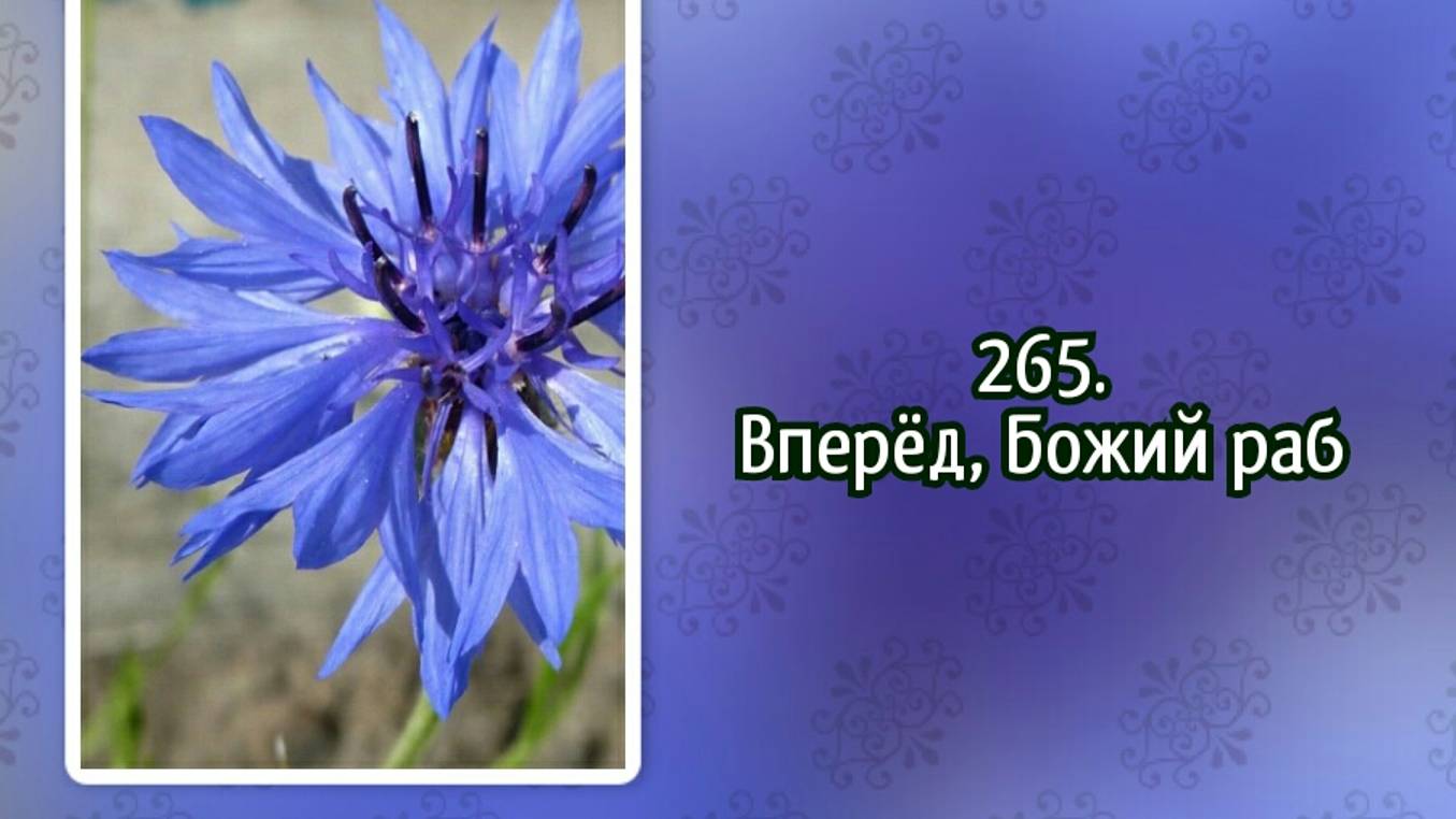 Гимны надежды 265 Вперёд, Божий раб (-) смотреть онлайн