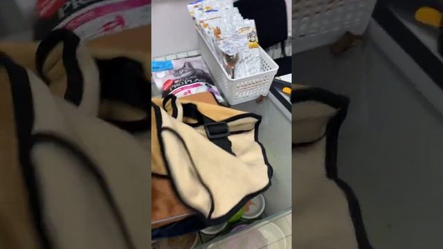 Попона для собак на флисе 30-35см смотреть онлайн