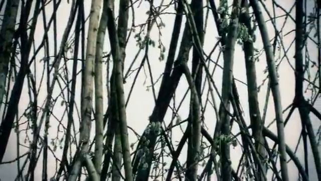 Странные Конструкции