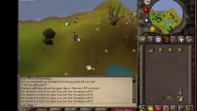 07 Guide to obtain Chompy/Bowman hats effeciently through Chompy Bird Hunting смотреть онлайн
