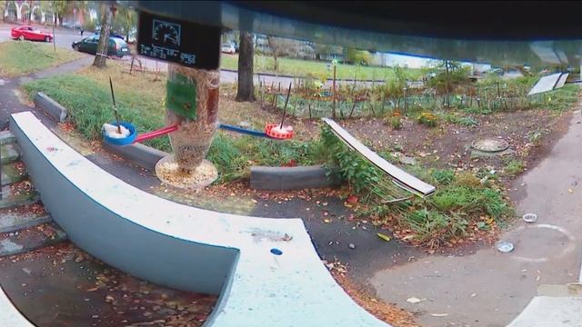 Под окном 2023 окт 09 - 10 Не Простоквашино Дядя Фёдр подъедающий голодный Кот Матроскин смотреть онлайн