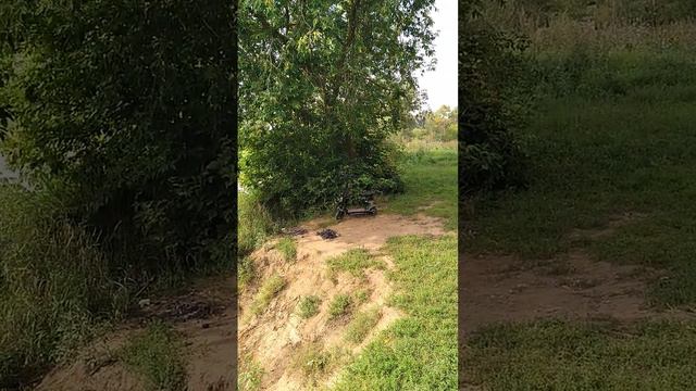 В пойме реки Клязьма образуются острова смотреть онлайн