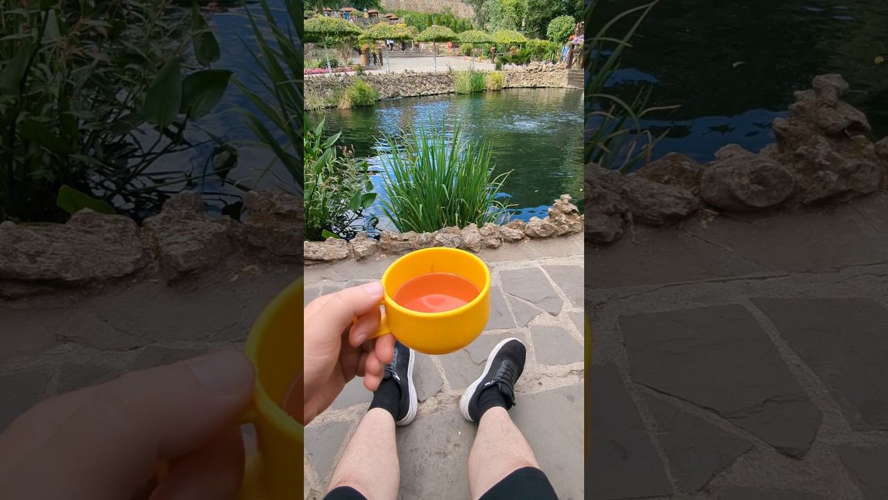 по кайфу пикник #shorts #природа смотреть онлайн