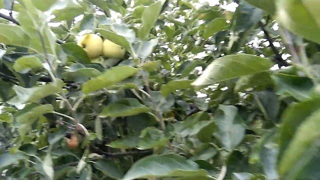 Стройка Движения