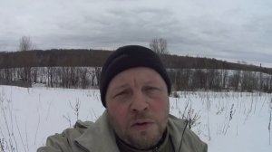 Что Такое «Ленинградский гектар»? Ленобласть Раздает Свои Земли