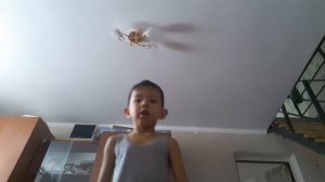 Как  правильно бить грушу